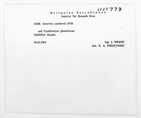 Image Associated With the Occurrence